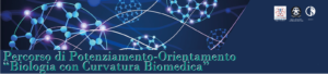 Biomedico ministreriale